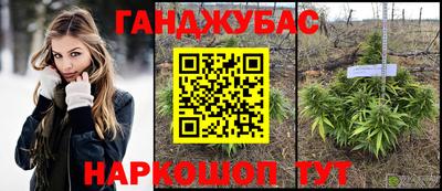 прущие крисы Малгобек