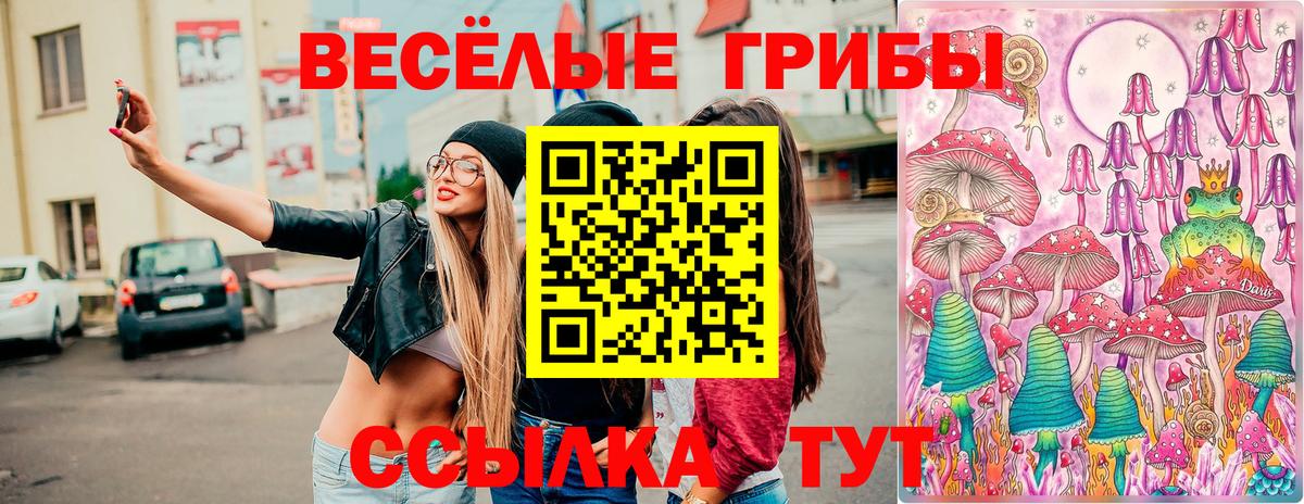 Псилоцибиновые грибы GOLDEN TEACHER Советский