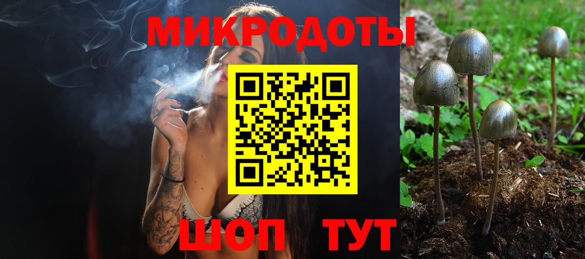 Галлюциногенные грибы MAGIC MUSHROOMS  Вход с VPN  Советский 
